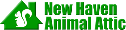 New Haven Animal Attic